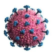 Four COVID-19 viruses in different colors