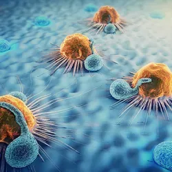 39224-istock-image-800x560