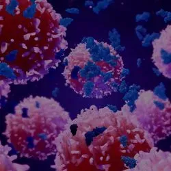 A Balancing Act: Drug Discovery for Cancer