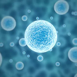 istock-496615949-compressed