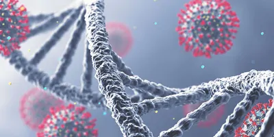 Explained: How do viruses move from animals into humans?