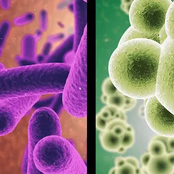 Multi-colored microbes