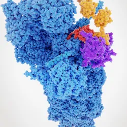 PROTACs and Their Application in Cancer Therapeutics 