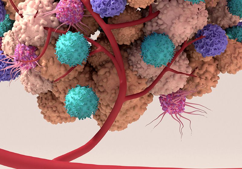 Illuminating the tumor microenvironment with spatial profiling | Drug ...