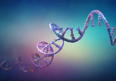Discover the surprising origin story of RNAi and the evolution of this powerful technology.