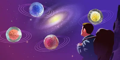 Uncover the vast array of stem cell types.