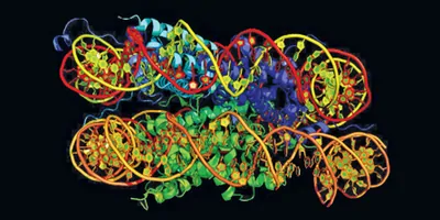 Computerized, multi-coloured image of DNA and its epigenetic modifications.