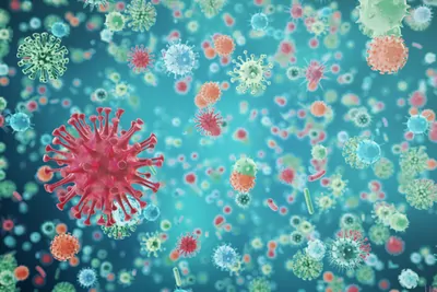 Illustration of viruses in different colors and shapes in a green background