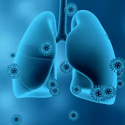 Illustration of human lungs and respiratory viruses