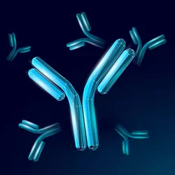 A 3D digital illustration of an antibody shown in blue in the forefront with small blue antibodies in the background