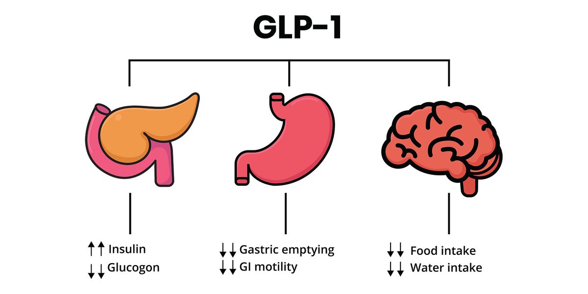 glp-1 pancreatitis law office in west virginia Targeting nutrient signaling in the gut to tackle metabolic disease