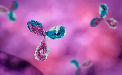 A 3D illustration of an antibody protein composed of multiple chains, each represented in distinct colors. 