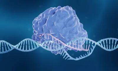 3D illustration of a CRISPR-Cas9 genome editing enzyme.
