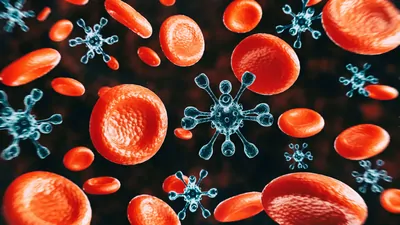 A 3D computer image of viruses and red blood cells.