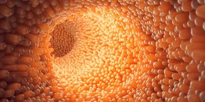 3D illustration close-up Intestinal villi.