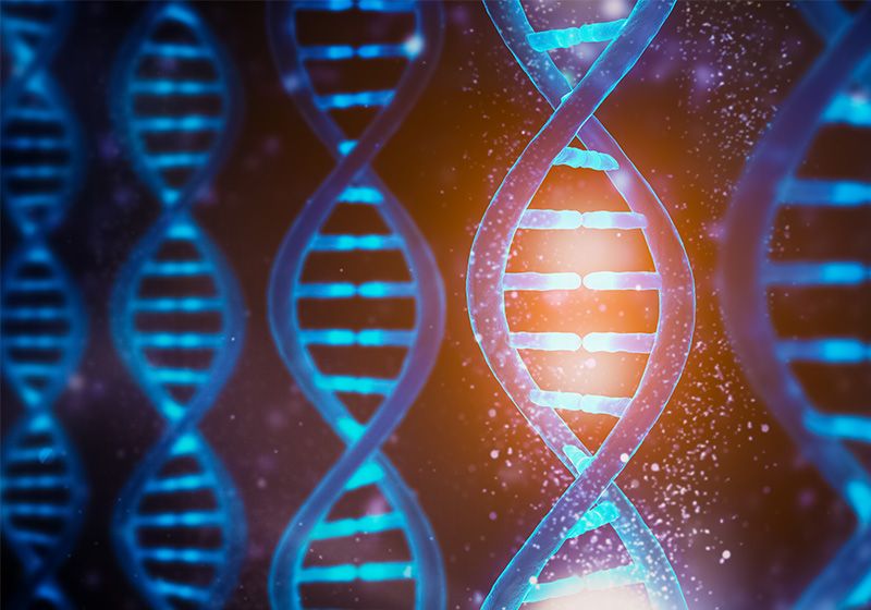 Explained: What is in-house gene assembly? | Drug Discovery News