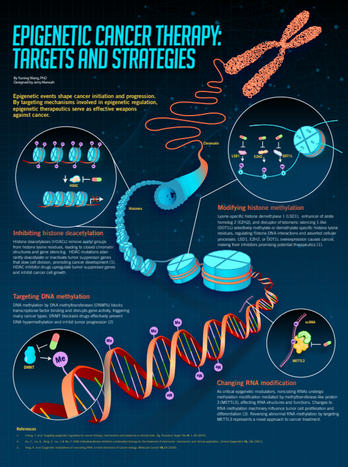 Epigenetic cancer therapy: Targets and strategies