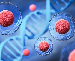 Three-dimensional human stem cells float over a background image of DNA.