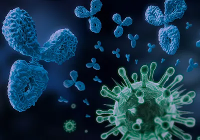A 3D illustration of blue antibodies floating toward a green colored virus
