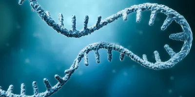 A 3D rendering of a single-stranded nucleic acid molecule floats against a glowing blue background.