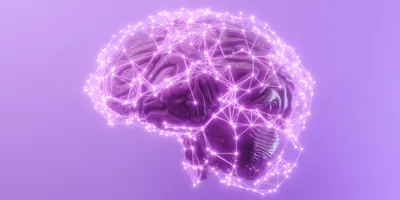 A 3D illustration of a human brain composed of network-like lines and nodes that suggest the neural network