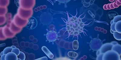 An illustration of various colored microbes, including bacteria and viruses