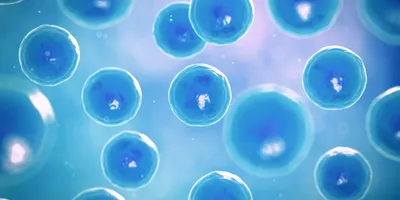 A 3D-rendered illustration of floating human cells