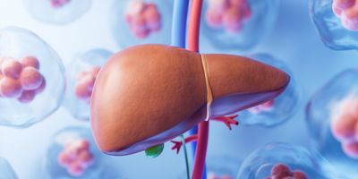 A liver organ shown in light brown with red and blue vessels behind it is surrounded by 3D clear, round cells with pink centers.