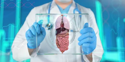 A doctor wearing blue gloves and a white lab coat with a stethoscope around their neck holds a rendering of a digestive system on a glass pane with a swirled blue background.