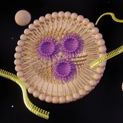 Characterizing lipid nanoparticles for RNA therapeutic development