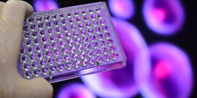 Rethinking cell-based screening for faster therapeutic discovery