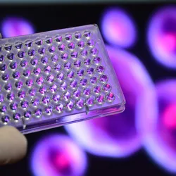 Rethinking cell-based screening for faster therapeutic discovery