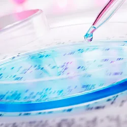 A drop of blue liquid being added to a petri dish with a background of a DNA sequencing gel and pink test tubes