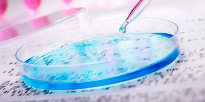 A drop of blue liquid being added to a petri dish with a background of a DNA sequencing gel and pink test tubes