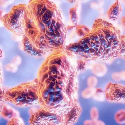 Antibodies are shown as light pink and orange Y-shaped molecular structures against a light blue and purple background. 