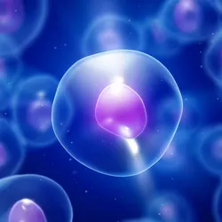 Stem cells are shown as clear, purple, and blue spheres against a dark blue and black background.