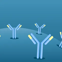IgE antibodies sticking up from a blue sphere.