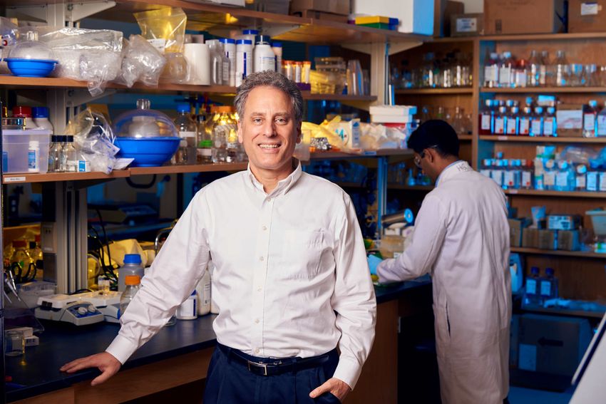 Mark Prausnitz stands in his lab in front of equipment smiling and wearing a white button-down shirt. Mark Prausnitz stands in his lab in front of equipment smiling and wearing a white button-down shirt.