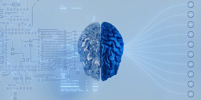 A digital illustration of a brain split in half, with one side composed of transparent circuitry and the other solid blue, symbolizing the intersection of artificial intelligence and human cognition, with data streams flowing in and out.