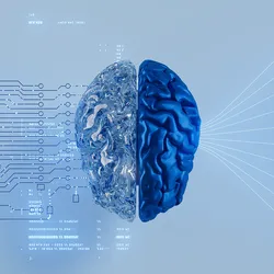 A digital illustration of a brain split in half, with one side composed of transparent circuitry and the other solid blue, symbolizing the intersection of artificial intelligence and human cognition, with data streams flowing in and out.