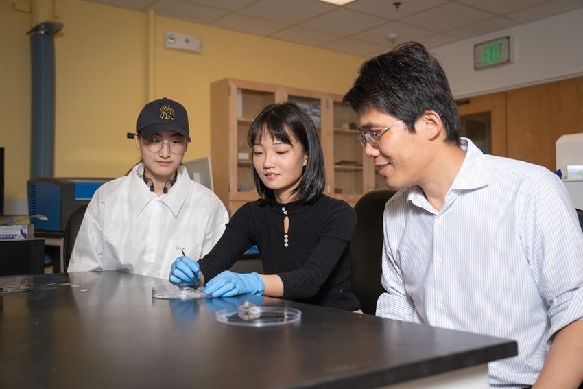 Three scientists sit at a table working on a wound healing device. Three scientists sit at a table working on a wound healing device.
