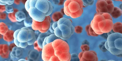 Clusters of red and blue spherical cells floating in a blue fluid, representing a 3D illustration of cellular structures.