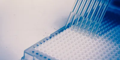 A scientist uses a multichannel pipette to research cells, genetics and DNA