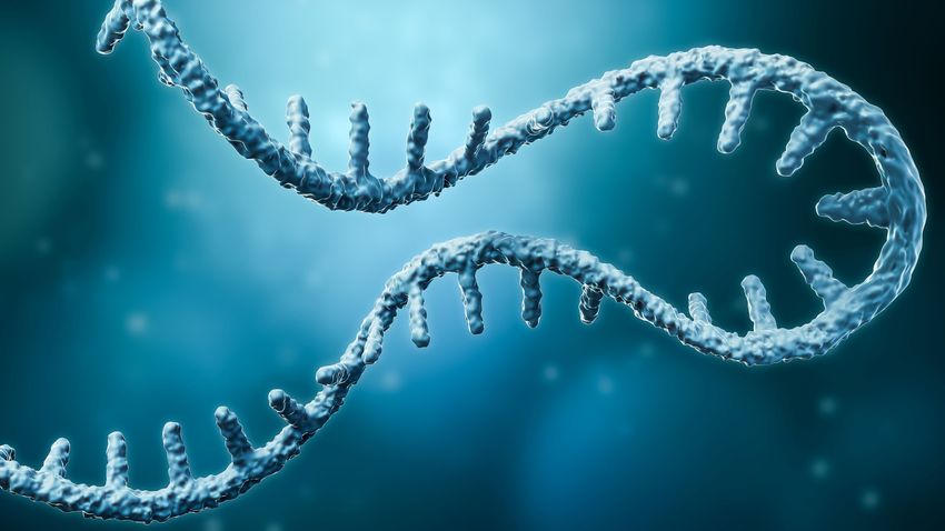 A blue mRNA molecule. A blue mRNA molecule.