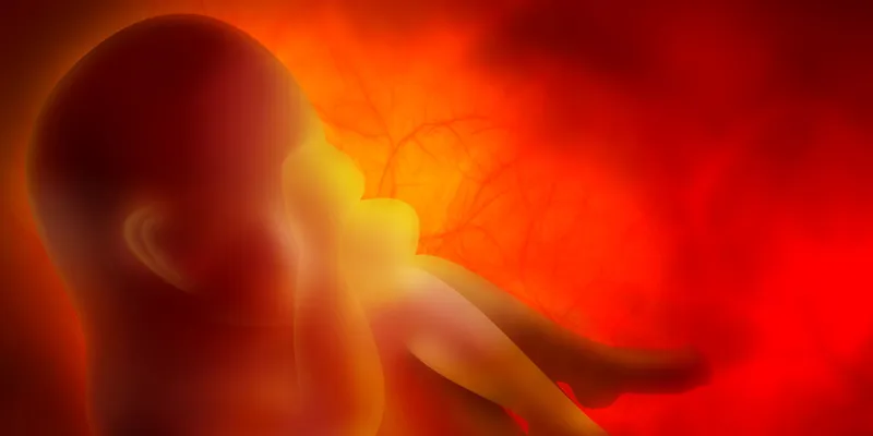 A fetus in a womb, all in red.