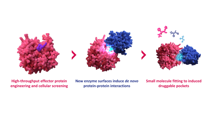 Overview of the GlueSEEKER technology, blending high-throughput biological data with computational drug discovery approaches to unlock previously undruggable targets Overview of the GlueSEEKER technology, blending high-throughput biological data with computational drug discovery approaches to unlock previously undruggable targets