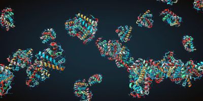 Several proteins with components in different colors on a dark blue background.