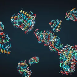 Several proteins with components in different colors on a dark blue background.