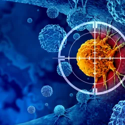 Cancer cell targeted by immune cells in a conceptual illustration of antibody immunotherapy.