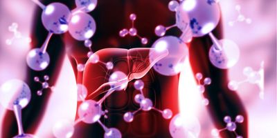 Illustration of a human liver surrounded by abstract molecular structures, symbolizing drug metabolism and biochemical interactions.